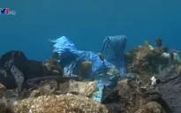 “Rạn san hô nhựa" dưới biển Aegean ở Hy Lạp