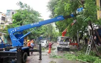 Hơn 294 nghìn khách hàng bị cắt điện do bão số 3