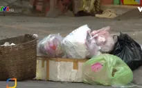 Phân loại rác tại nguồn - Kết quả chưa như mong đợi