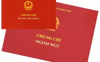 Các cơ sở không được cấp chứng chỉ ngoại ngữ, tin học