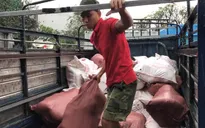 Bình Dương: Phát hiện 20 tấn thịt lợn bẩn giấu trong container