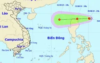 Thông báo ứng phó với áp thấp nhiệt đới