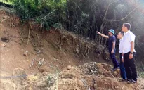 Hòa Bình: Sạt lở đất đá do mưa lũ, Quốc lộ 6 ách tắc nhiều giờ