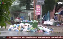 Quảng Nam: Người dân bức xúc vì rác thải ùn ứ nhiều ngày