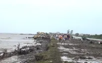 Nguy cơ vỡ đê biển Tây tại Cà Mau