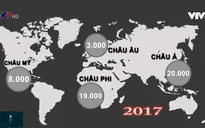 Bạo hành - "Cơn bão ngầm" đằng sau mỗi cánh cửa gia đình