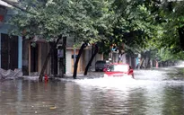 Mưa bão gây thiệt hại cho Sơn La
