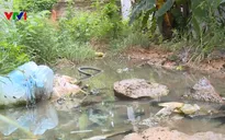Khu giãn dân Phú Thọ 10 năm không có đường thoát nước thải
