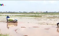 Xây dựng Nông thôn mới – 10 năm nhìn lại