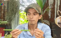 Quán cà phê tặng ống hút tre cho khách