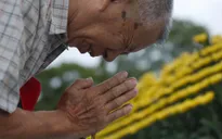 Nhật Bản tưởng niệm 74 năm vụ ném bom ở Hiroshima