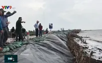Tổng cục Phòng chống thiên tai khảo sát sạt lở ở Cà Mau