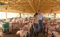 Nông dân Mỹ lo lắng khi Trung Quốc dừng mua nông sản