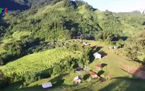 Khám phá rừng sâm Ngọc Linh