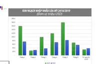 Giá lúa mì giảm xuống mức 4, 4 triệu đồng/tấn