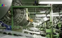 Chủ động chuỗi cung ứng để phát triển công nghiệp Việt Nam