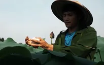 Cử nhân báo chí về quê khởi nghiệp trồng chè, ướp sen