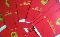 Phát hiện giao dịch bằng sổ đỏ giả