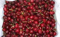 Hàng Mỹ... giá Việt hút người tiêu dùng