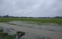 Đắk Lắk tập trung ứng phó mưa lũ