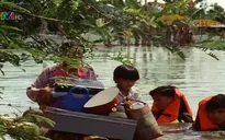 15 năm thành lập Cục Cứu hộ - Cứu nạn