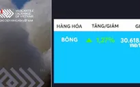 Giá bông kỳ hạn tháng 12/2019 hồi phục