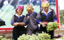 Tết Độc lập của người Mông