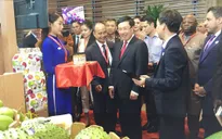 Việt Nam sẽ đóng góp tích cực cho việc giải quyết những vấn đề tại Trung Đông - châu Phi