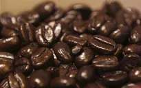 Giá cà phê Arabica và Robusta tăng