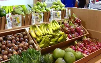 Nâng cao hiệu quả hợp tác thương mại Việt Nam - Trung Đông - châu Phi