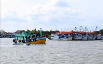 Cà Mau công khai hạn ngạch giấy phép khai thác thủy sản