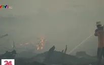 Cháy rừng dữ dội tại Indonesia, nhiều nước Đông Nam Á bị ảnh hưởng