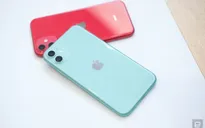 Mua iPhone 11 ở đâu rẻ nhất thế giới?