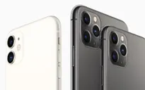 Tại Việt Nam, iPhone 11 có giá dự kiến từ 21,99 triệu đồng
