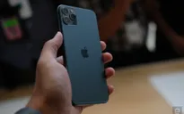 Người Việt vẫn đổ xô tìm kiếm iPhone 11 Pro Max