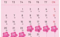 Chốt phương án nghỉ Tết Nguyên đán 2020