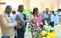 Việt Nam - châu Phi còn nhiều tiềm năng trong hợp tác nông nghiệp
