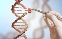 Các nhà khoa học Trung Quốc điều trị HIV, ung thư bằng công nghệ chỉnh sửa gen