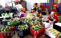 Giá trị xuất khẩu rau quả của Việt Nam 8 tháng qua giảm gần 6%