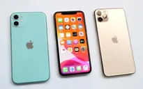 Ai cũng nói iPhone 11 "nhạt", nhưng tất cả đều phát sốt vì nó