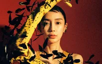 Angelababy cuốn hút ánh nhìn nhờ concept cực độc