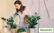 6 mẹo đơn giản bảo vệ bạn khỏi dị ứng do khói bụi