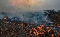 Cháy rừng Indonesia gây lo ngại gia tăng nhiệt độ toàn cầu