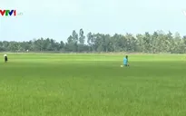 Lũ ở ĐBSCL đã thay đổi quy luật?