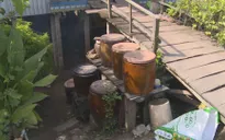 Đồng Tháp sẽ xử lý những cá nhân không ý thức chống dịch sốt xuất huyết