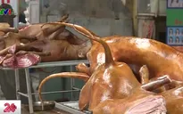 Ban Quản lý an toàn thực phẩm TP.HCM khuyến cáo không nên ăn thịt chó