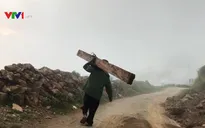 Ngang nhiên phá rừng, vận chuyển gỗ tại rừng đặc dụng Tà Xùa