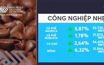 Thị trường hàng hóa đồng loạt khởi sắc