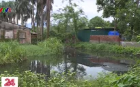 Trại lợn xả thải lộ thiên giữa khu dân cư: Chính quyền vẫn chờ hướng dẫn luật