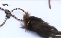 Colombia thu giữ 1.400 bộ phận động vật buôn bán trái phép